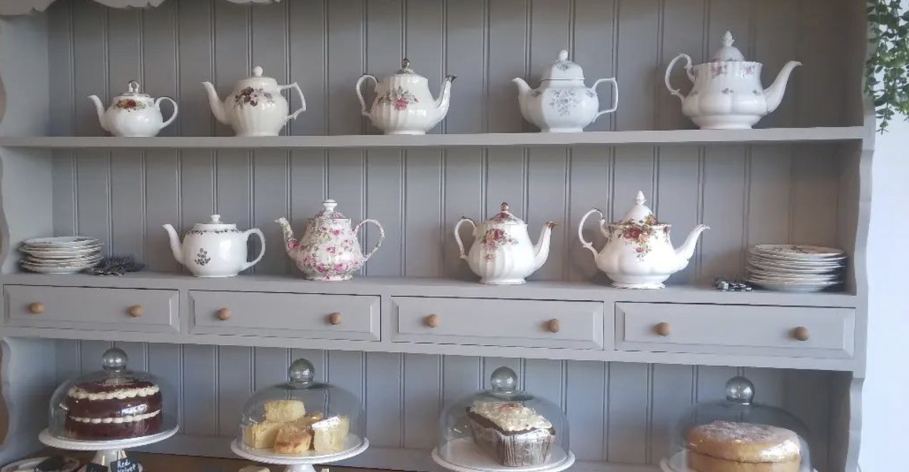 LEAF AND BEAN The TN card